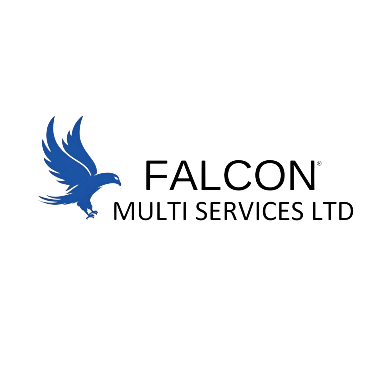 Falcon Multi Services Ltd. — AISP Authorized Training Partner, India